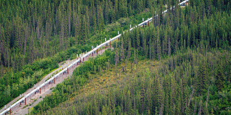 A New Era in Conservation and Economic Opportunity