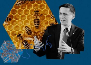 What’s next for AlphaFold: A conversation with a Google DeepMind Nobel laureate