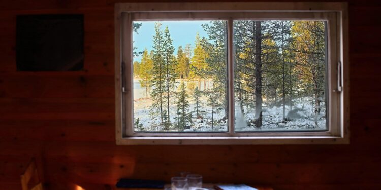 What I stole from Bill Gates