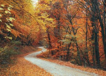 Which Path Leads to Your Best Work?