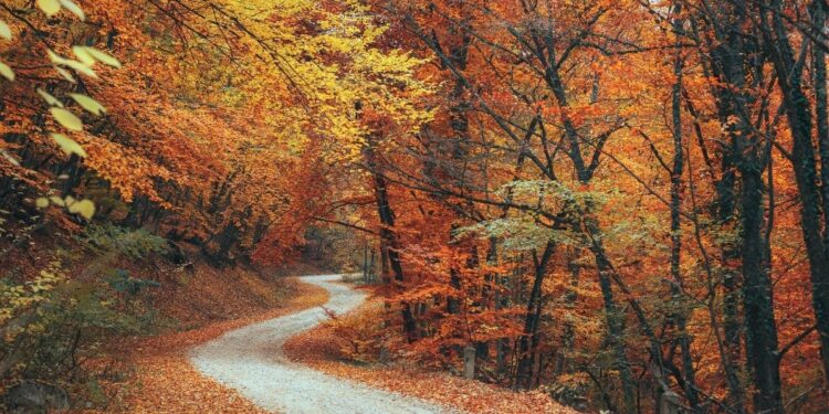 Which Path Leads to Your Best Work?