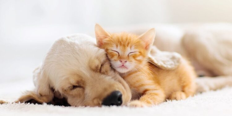 How Marketing and IT Finally Stop Colliding