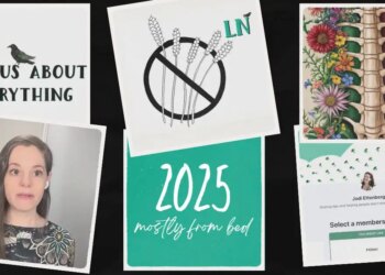 What I did in 2025, mostly from bed