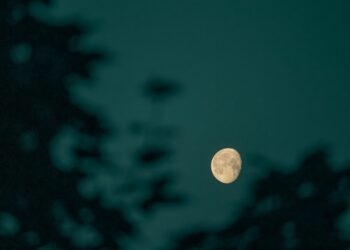 Bitcoin Headed For $200 Trillion? CEO Makes Bold Prediction