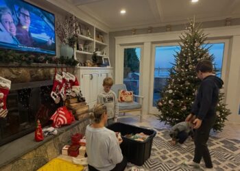 Dylan Dreyer Proudly Reveals First Christmas Tree After Ditching New York City for the Suburbs With Her Three Sons