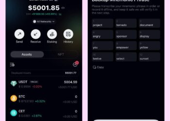 I’ve got 5,000$+ USDT in my C98 wallet.
