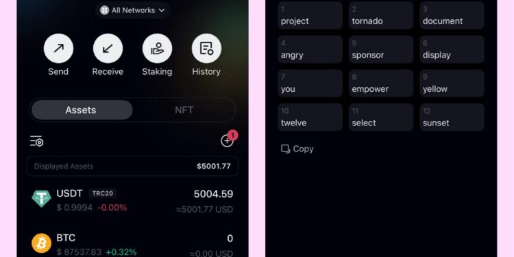 I’ve got 5,000$+ USDT in my C98 wallet.