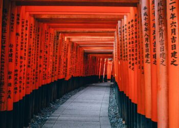 Increase Your Cash Flow A.S.A.P. With One Call