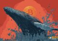 Bitcoin Whales Keep Buying, 100+ BTC Holders Hit New Highs