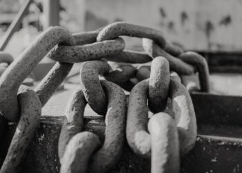 Entrepreneurship in Regulated Markets: How Founders Can Innovate Without Breaking Rules