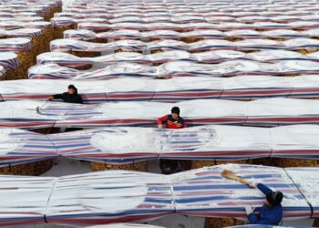 Inside China’s push to feed 1.4 billion people without U.S. crops