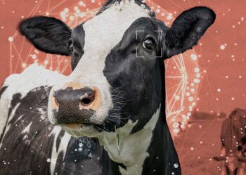 The Bay Area’s animal welfare movement wants to recruit AI