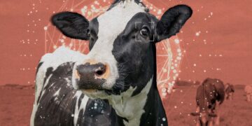 The Bay Area’s animal welfare movement wants to recruit AI