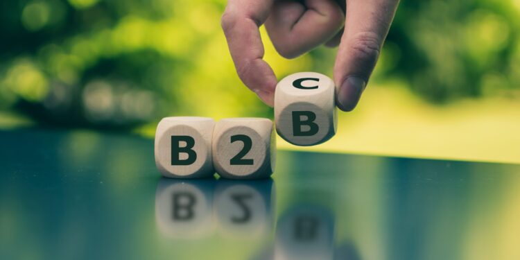 B2B, B2C companies increase AI investment