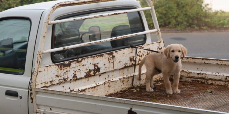 After boasting about how much workers earn, the Tech Council flipped the script, arguing they’re paid to not compete