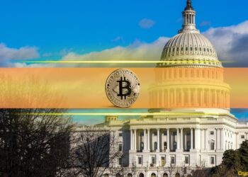 Why Market Volatility Often Precedes a Bitcoin Rally