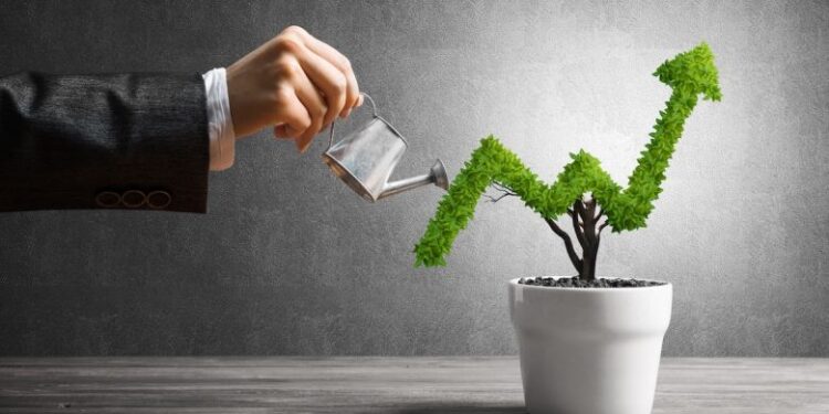 The Key Components That Make Any Business Thrive