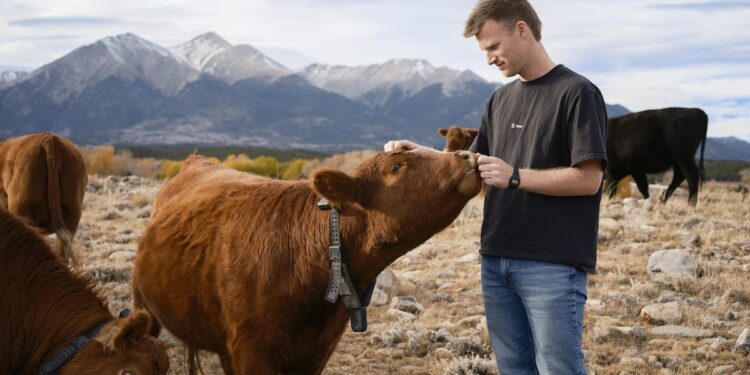 Peter Thiel’s big bet on solar-powered cow collars