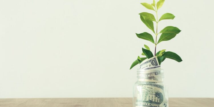 The 4 Pillars I Used To Build Wealth (Not Luck, Not Hype)