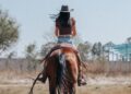 Bravo Takes a Lead From ‘Yellowstone’ With New Texas Ranch Wives Series