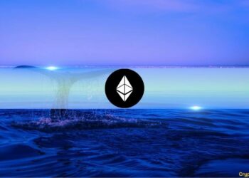 Ethereum’s Largest Wallets Now Control Over 22% of Supply Amid Fresh Accumulation Wave