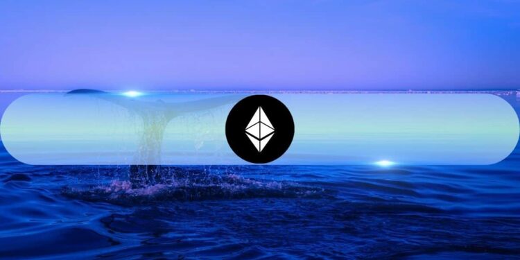 Ethereum’s Largest Wallets Now Control Over 22% of Supply Amid Fresh Accumulation Wave