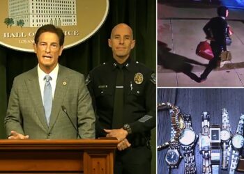 Home Burglars Are Using Sophisticated New Tools, L.A. Police Warn