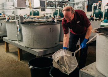 An Innovative, Delicious Solution to an Invasive Threat