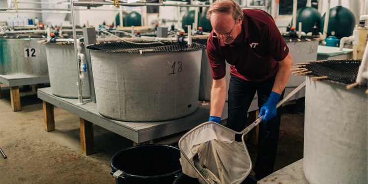 An Innovative, Delicious Solution to an Invasive Threat