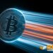 Bitcoin Network Activity Hits 2024 High Levels: CryptoQuant