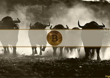 BTC Could Hit Fresh Summer Highs Within Weeks if $73K Holds: Analyst