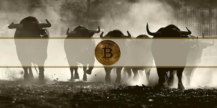 BTC Could Hit Fresh Summer Highs Within Weeks if $73K Holds: Analyst