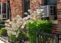 Renters Turn to One Cooling Hack to Save on Electricity Bills