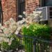 Renters Turn to One Cooling Hack to Save on Electricity Bills