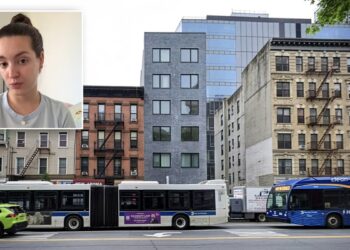Manhattan Penthouse Turns into Nightmare of Mold for Juilliard Grad
