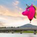 Small by design: What Canberra’s innovation story teaches us about building in unlikely places
