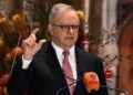 Here’s what Albo’s ‘Office of AI’ means for Australian tech