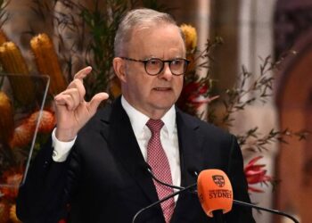 Here’s what Albo’s ‘Office of AI’ means for Australian tech