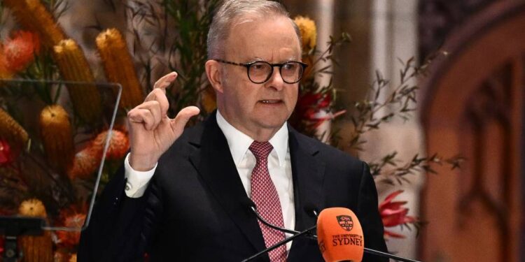 Here’s what Albo’s ‘Office of AI’ means for Australian tech