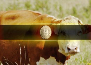 Bitwise CIO Predicts the Biggest Crypto Bull Market Yet
