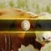 Bitwise CIO Predicts the Biggest Crypto Bull Market Yet