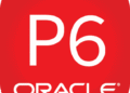 Primavera P6 for General Contractors: Key Features, Pros & Cons
