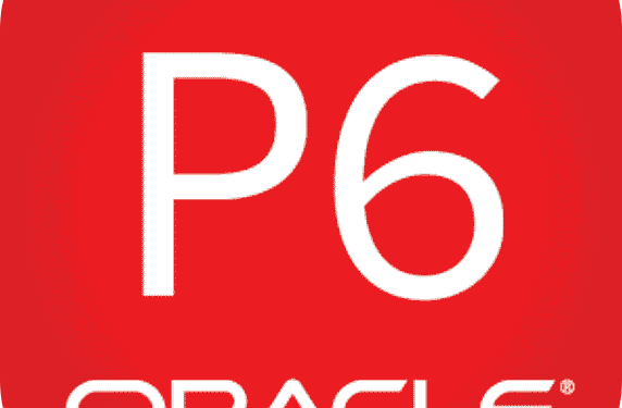 Primavera P6 for General Contractors: Key Features, Pros & Cons