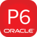 Primavera P6 for General Contractors: Key Features, Pros & Cons