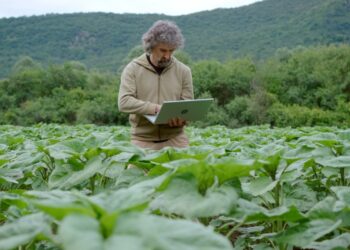 Agriculture is ready for AI, but its data isn’t