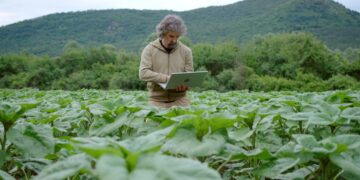 Agriculture is ready for AI, but its data isn’t