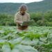 Agriculture is ready for AI, but its data isn’t
