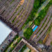 2026 Outlook: Five Logistics Trends Shaping 2027 Site Decisions