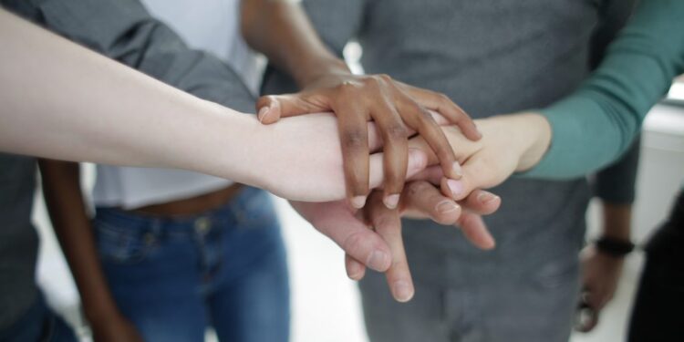 Startup Growth: Building a High-Performing Team