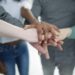 Startup Growth: Building a High-Performing Team